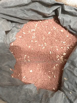 Garden Cress Seeds