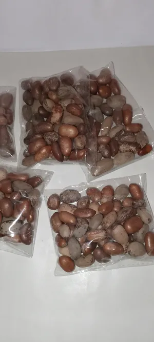 African Nutmeg