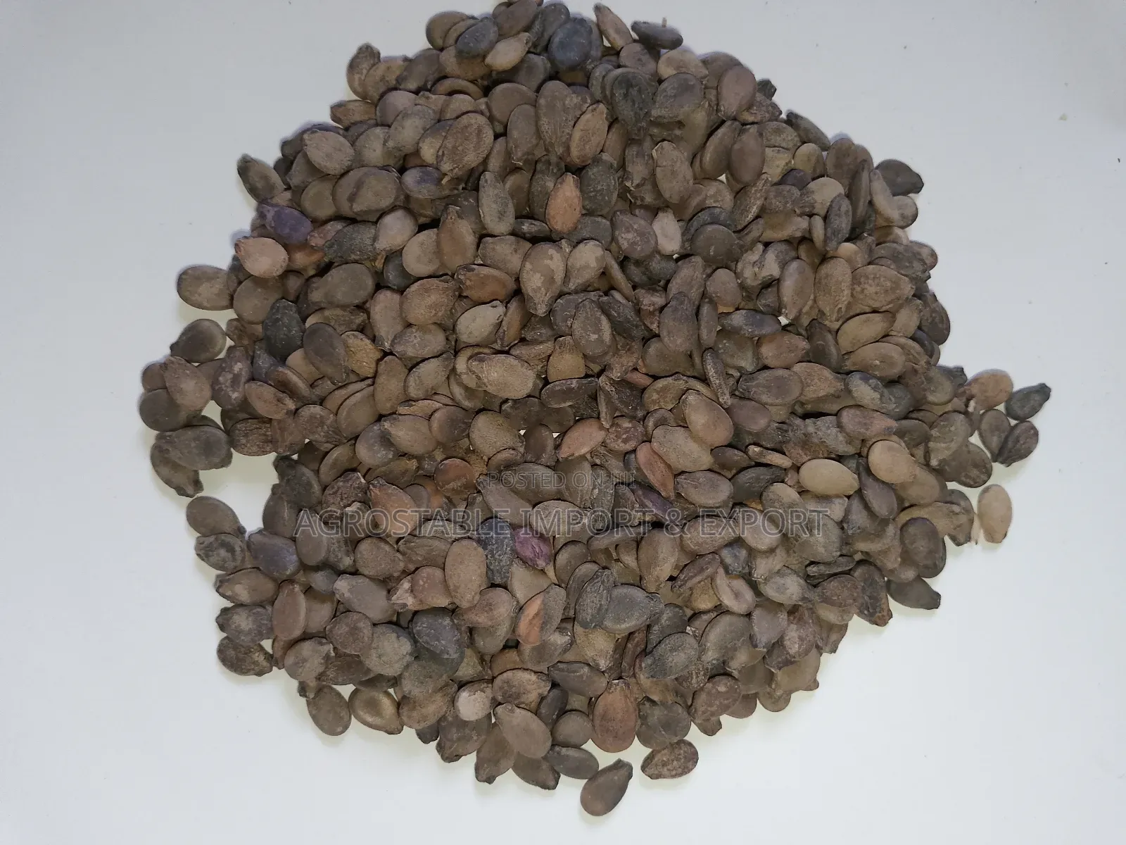 Organic Water Melon Seeds