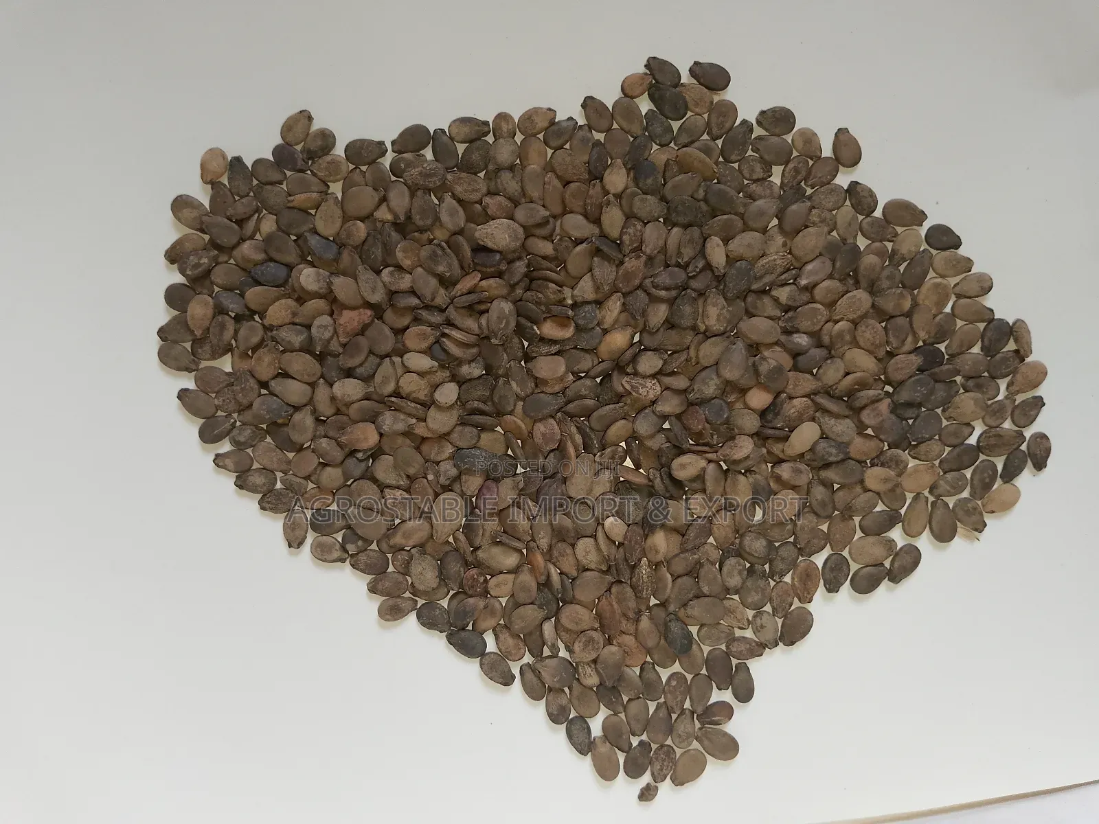 Organic Water Melon Seeds