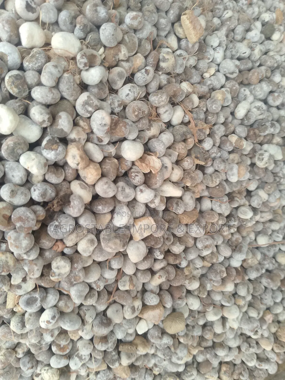 Baobab Fruit Seeds