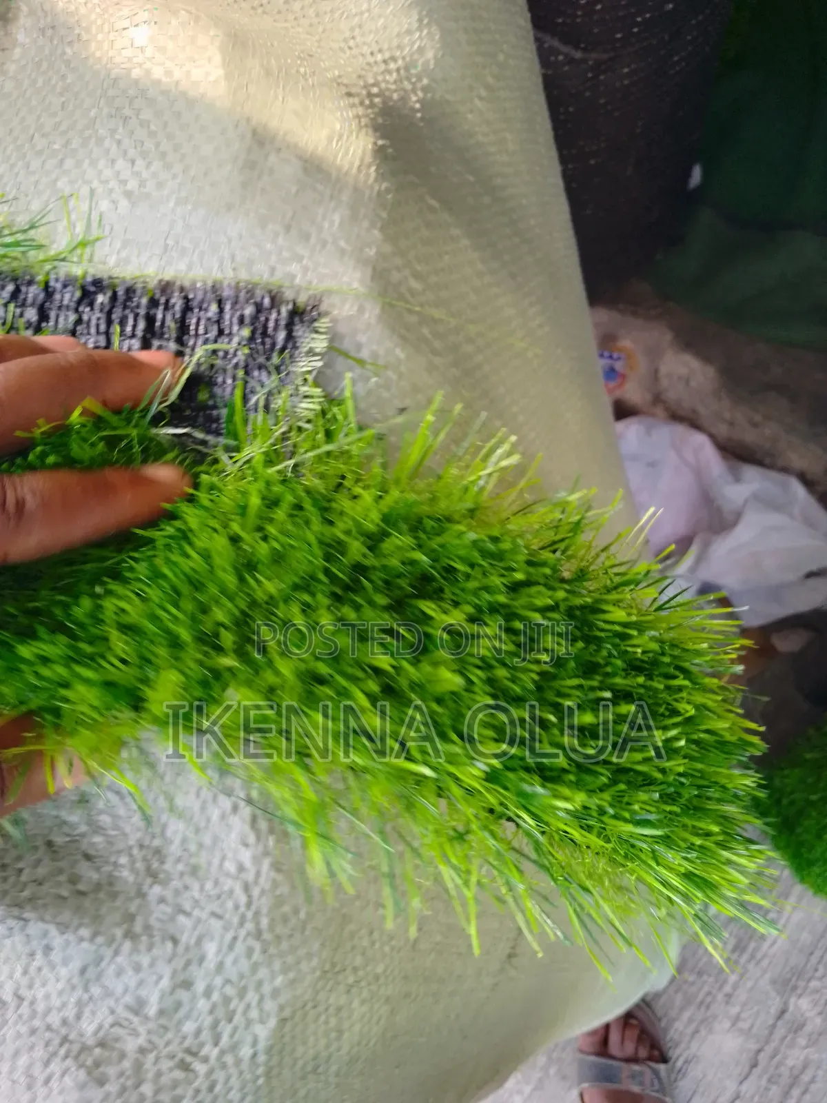 Grass Carpet