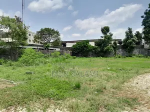 3 and Half Plots at Old Gra