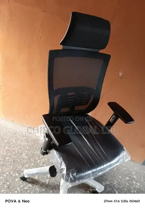 Office Chair (Ergo- Power)
