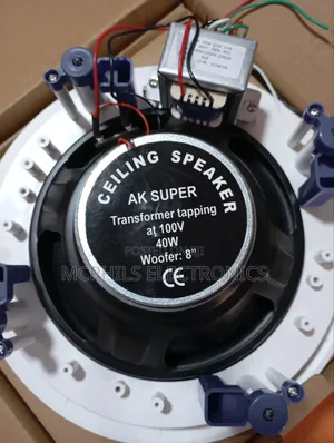 Ak-super 40w Bass-boost  Ceiling Speakers