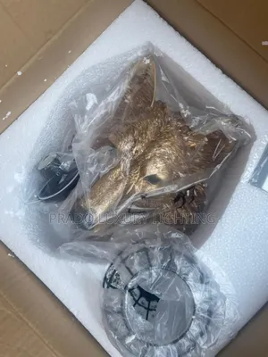 Tiger Head Wall Light
