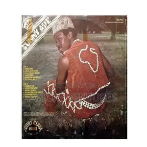 Sunny Adé His African Beasts Master Guitarist Vol. 2