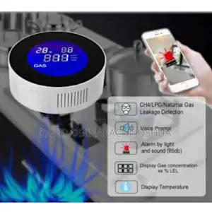 Gas Leakage Detector