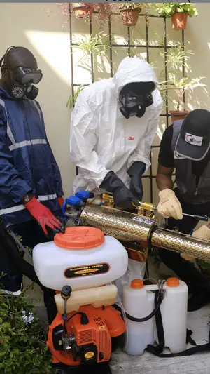 Majik Cleaning,Upholstery And Fumigation Services
