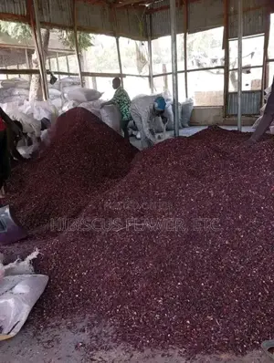 Shiffting Hibiscus Zobo
