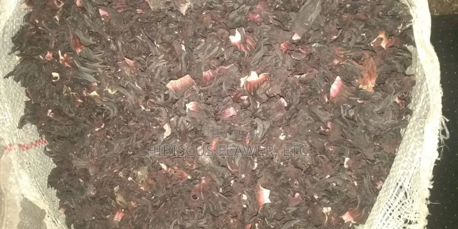Hibiscus Flower Zobo