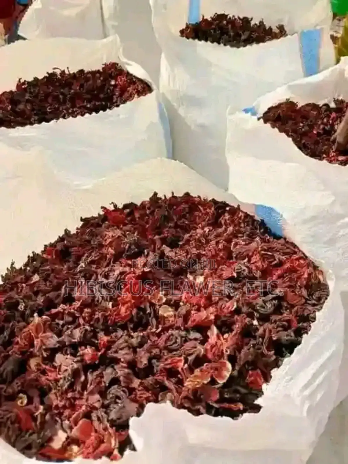 Hibiscus Flower Zobo