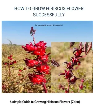 Hibiscus Farming Guide