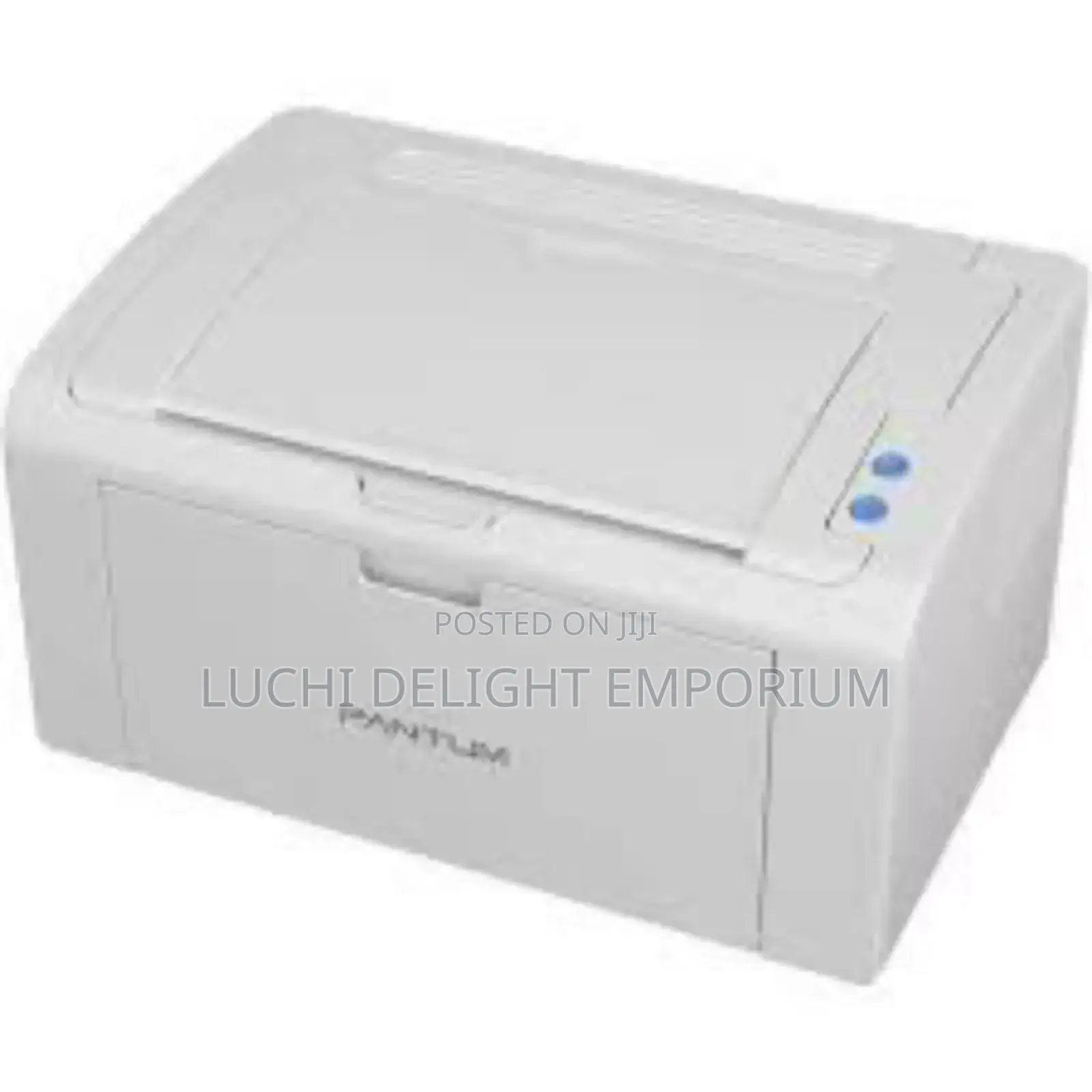 Pantum P2509 Mono Laser Single Function Printer