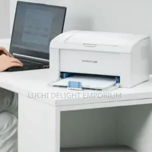 Pantum P2509 Mono Laser Single Function Printer