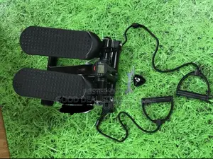 Standard Mini Stepper