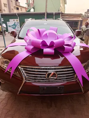 Pink Giant Car Bow