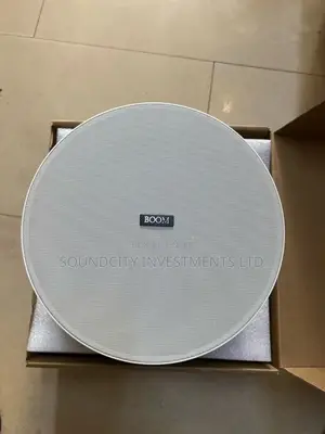 300w Boom High Fidelity Ceiling Speaker.