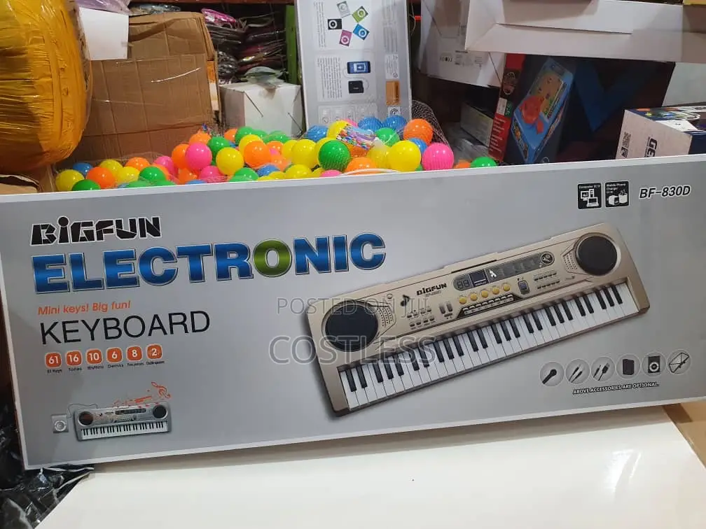 61 Keys Portable Electronic Piano Keyboard With Microphone