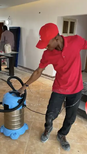 Maidpro Cleaning And Fumigation Services