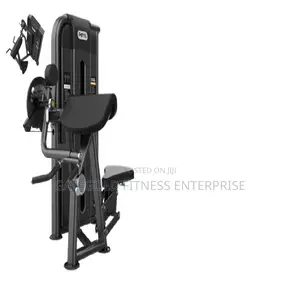 Camber Curl & Triceps