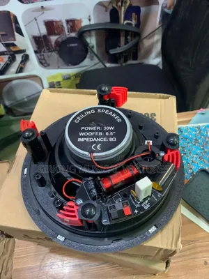Ceiling Speaker 30watts With Crossover Flameless