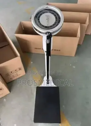 Scale With Height