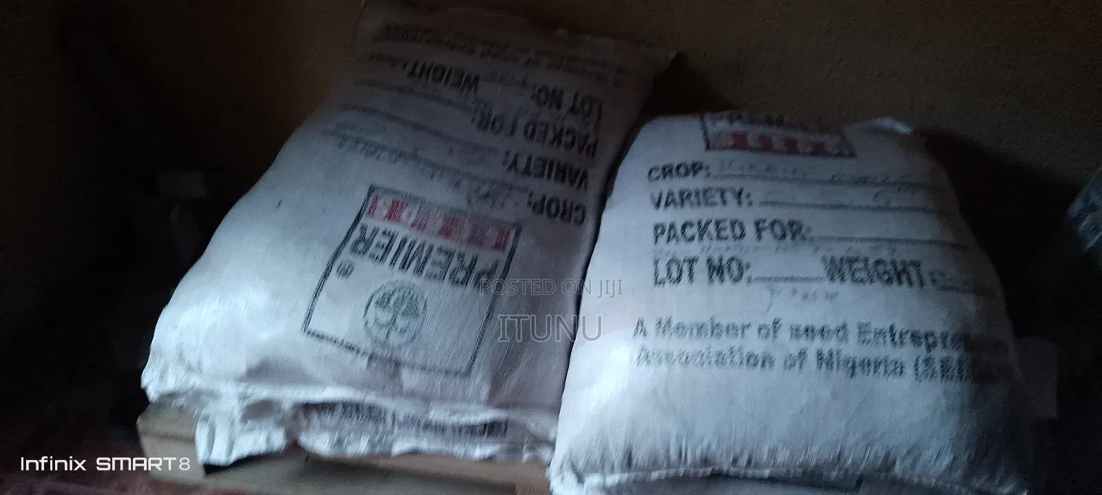 Hybrid Maize Seed , Corn 60kg