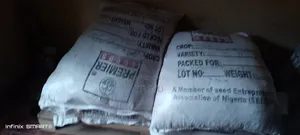 Hybrid Maize Seed , Corn 60kg