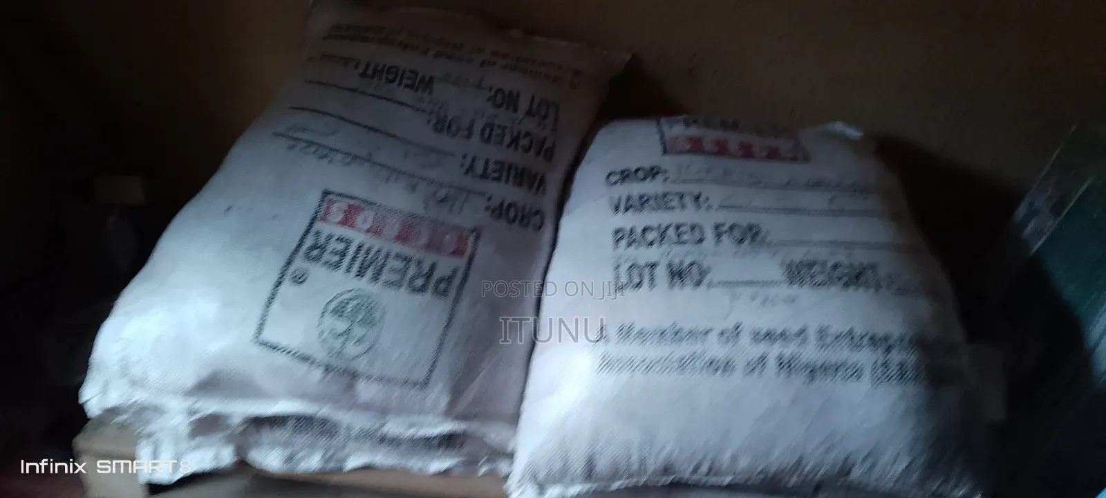 Hybrid Maize Seed , Corn 60kg