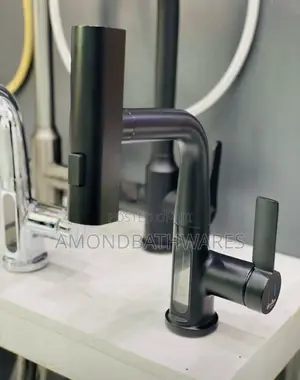 Pullout Kitchen Faucet