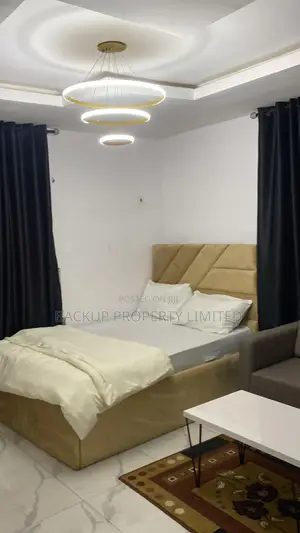 Spacious Furnished Apartment at Akoka