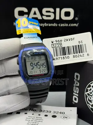 Casio Rubber