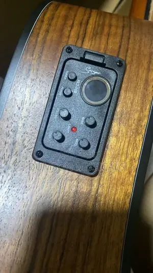Electroacoustic Smiger Guitar  