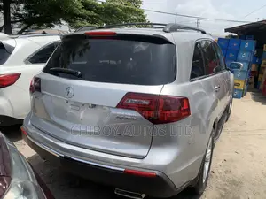 Acura MDX 2010 Silver