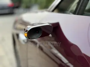 New Car 2024 Burgundy