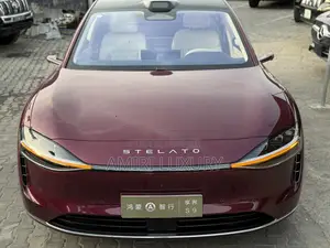 New Car 2024 Burgundy
