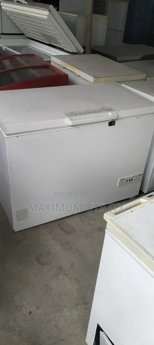 Siemens 2 Thick Body Layers German Freezer