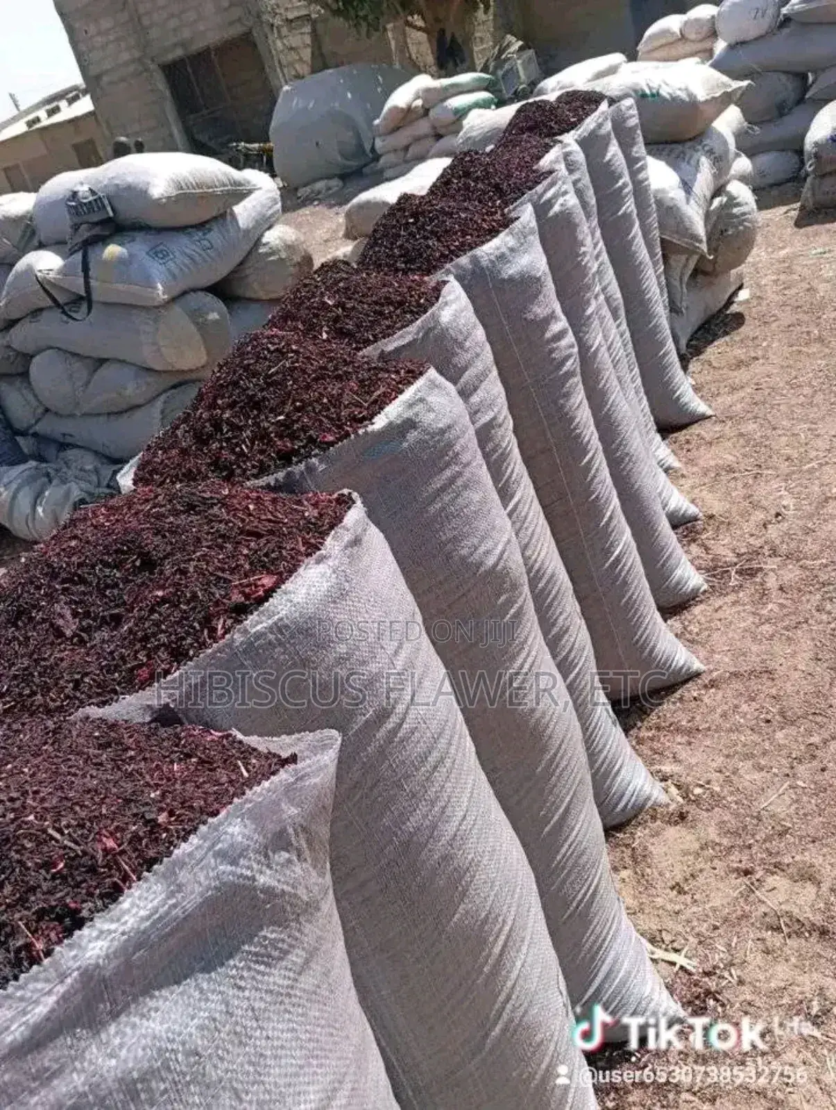 Shiffting Hibiscus Zobo