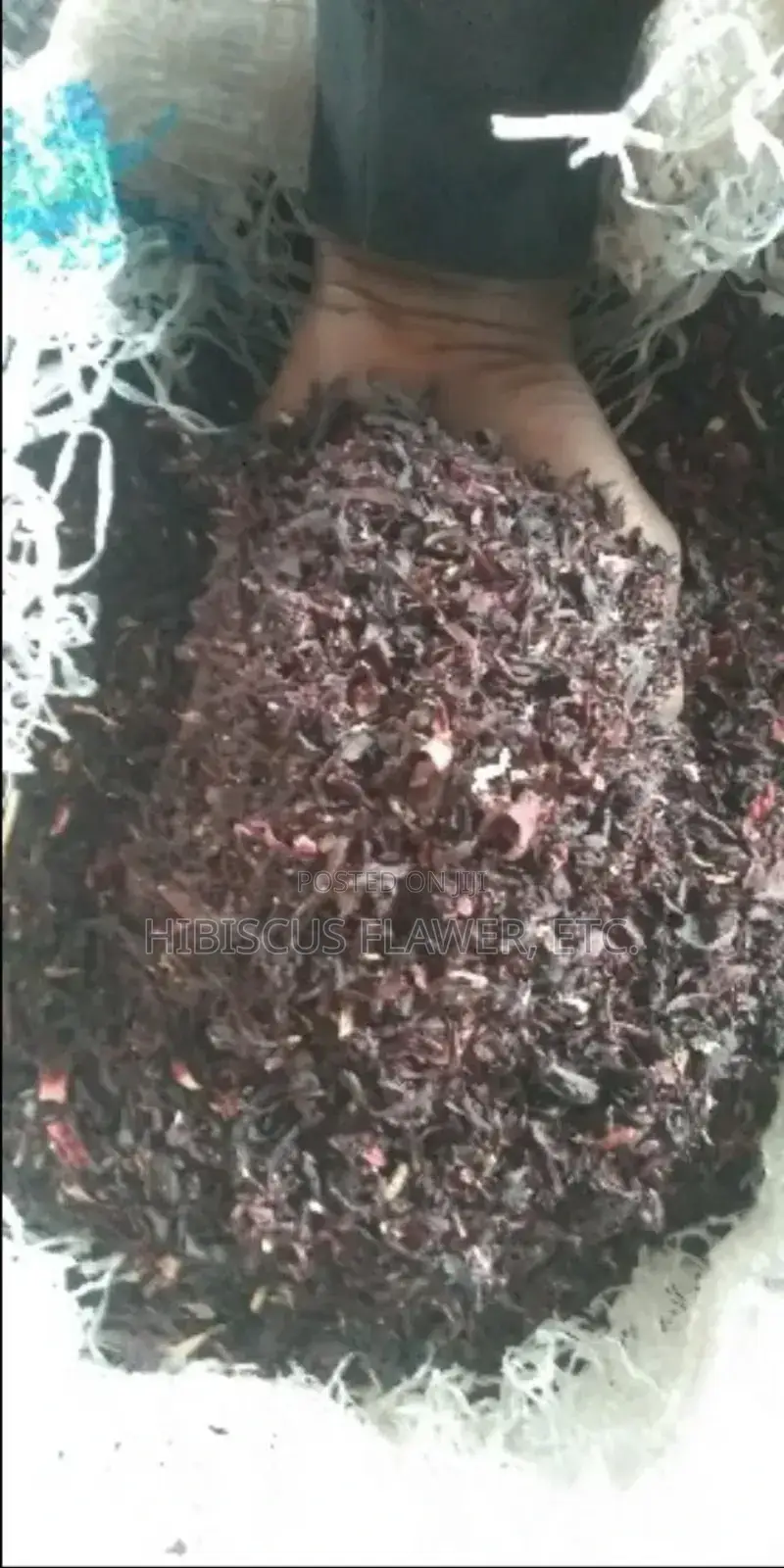 Shiffting Hibiscus Zobo