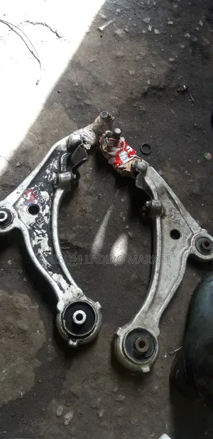 Low Arm for Nissan Murano 2003,2004,2005