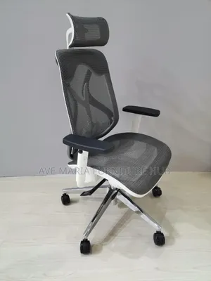 Executive Office Ergonomic Chair