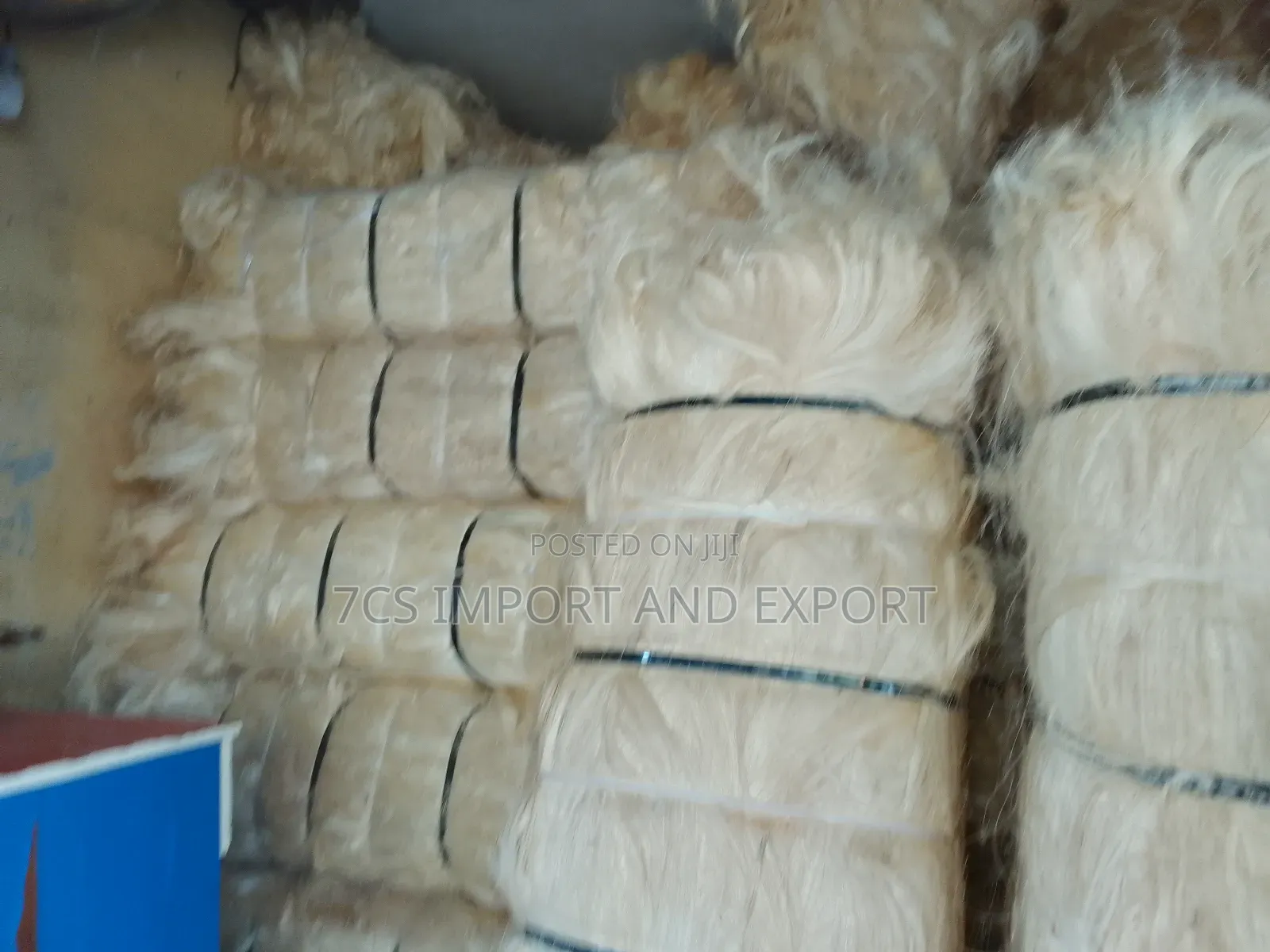 Quality Fila Sponge for Pop Casting