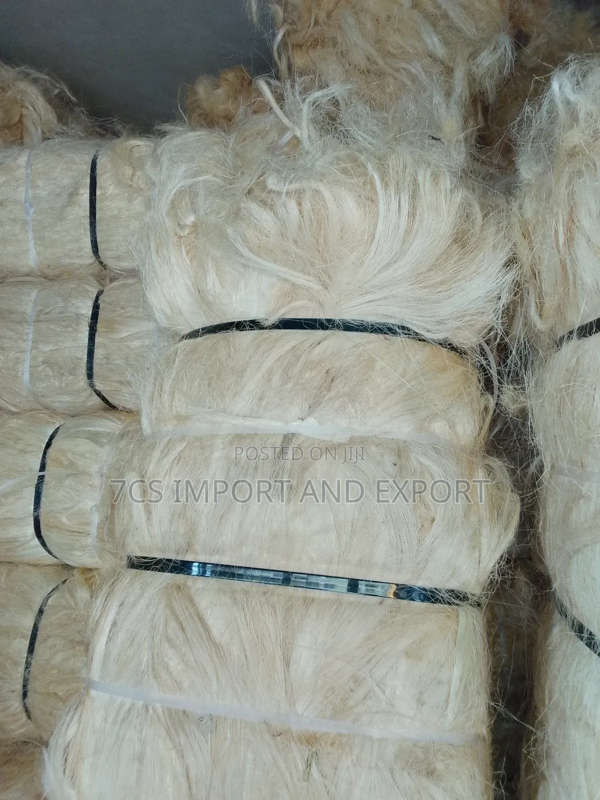 Quality Fila Sponge for Pop Casting