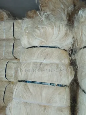 Quality Fila Sponge for Pop Casting