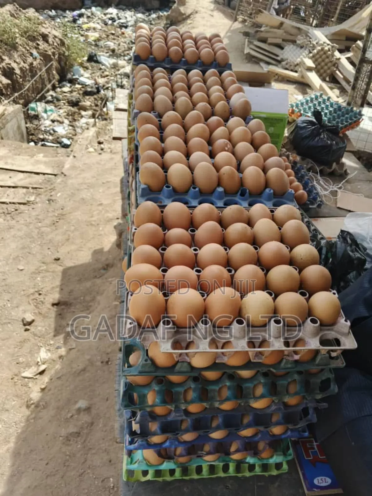 Eggs for Sell, in Large Quantity