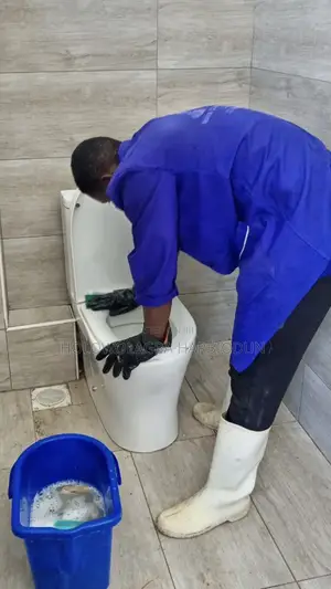 Scrubs Cleaning,Upholstery and Pest Control Services