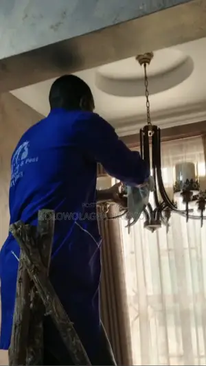 Dynamic Professional Cleaning,Upholstery and Pestcontrol