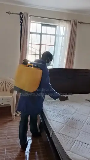 House Cleaning Expert,Upholstery and Fumigation Services
