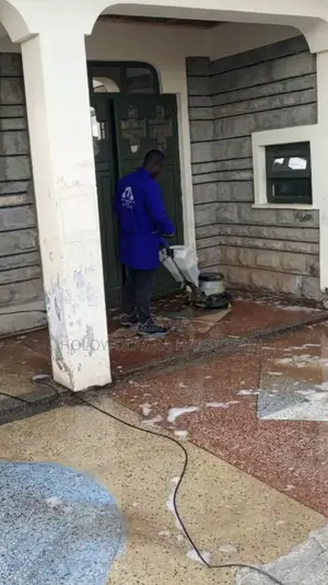100% Satisfaction Cleaning.Upholstery Fumigation. Bedbugs